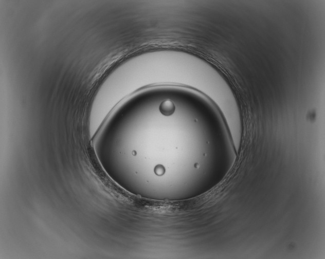 X0000116160120200912141229