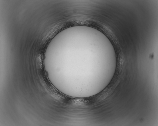 X0000116160121200912141229