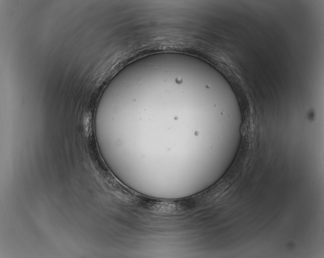 X0000116160123200912141229