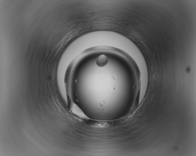 X0000116160124200912141229