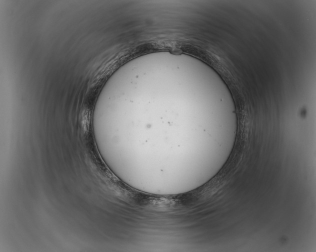 X0000116160125200912141229