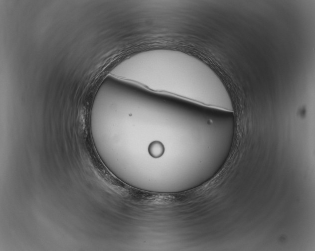 X0000116160128200912141229