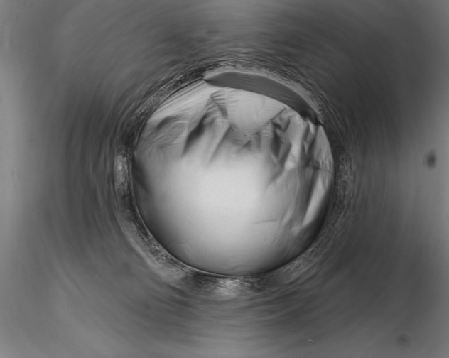 X0000116160130200912141229