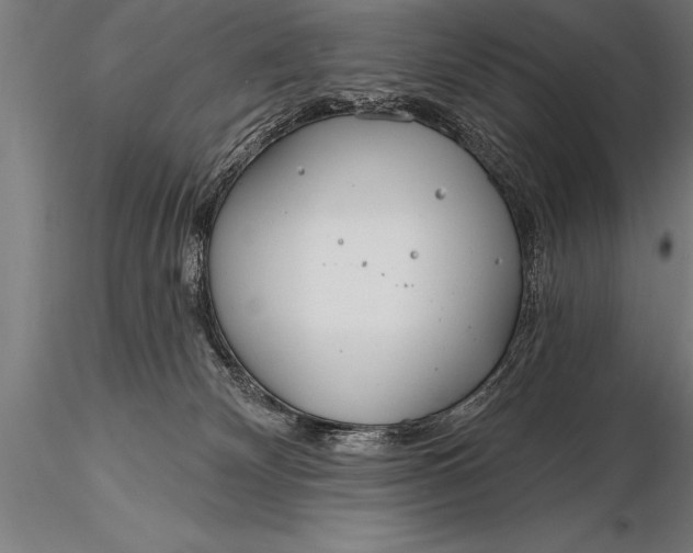 X0000116160132200912141229