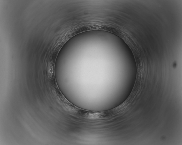 X0000116160134200912141229