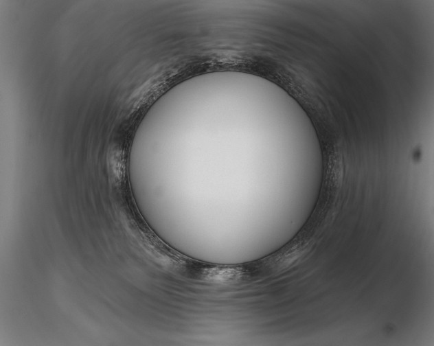 X0000116160135200912141229