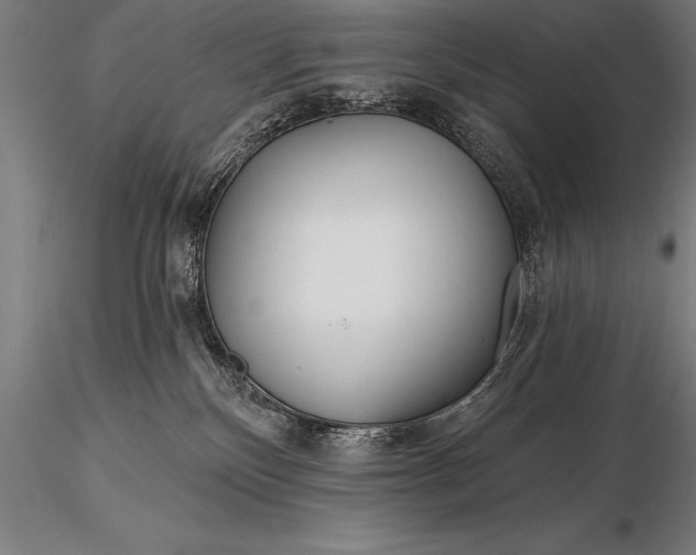 X0000116160136200912141229