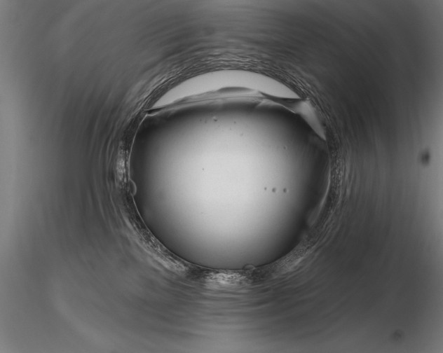 X0000116160137200912141229