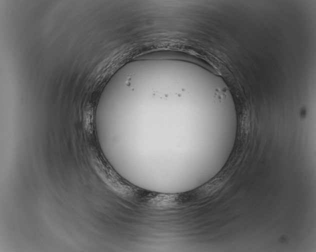 X0000116160138200912141229