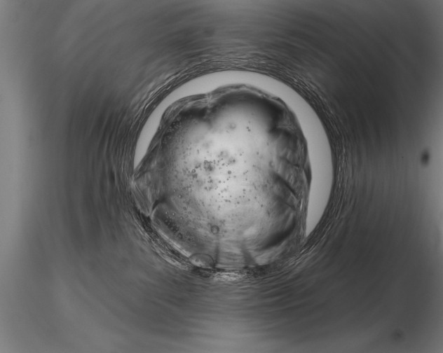 X0000116160139200912141229