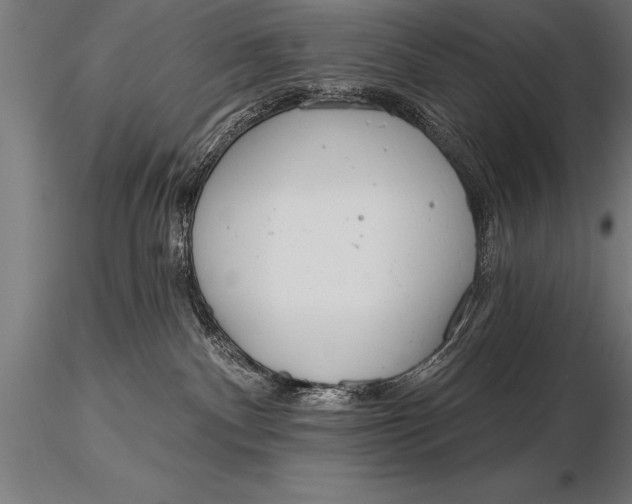X0000116160140200912141229