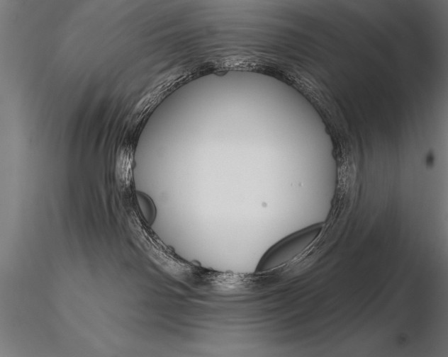 X0000116160142200912141229