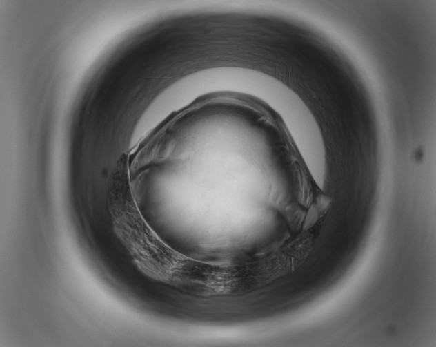 X0000116160143200912141229