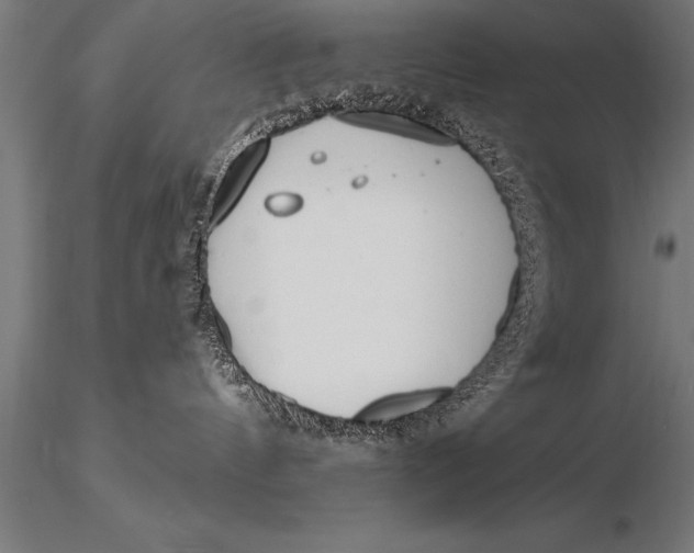 X0000116160144200912141229