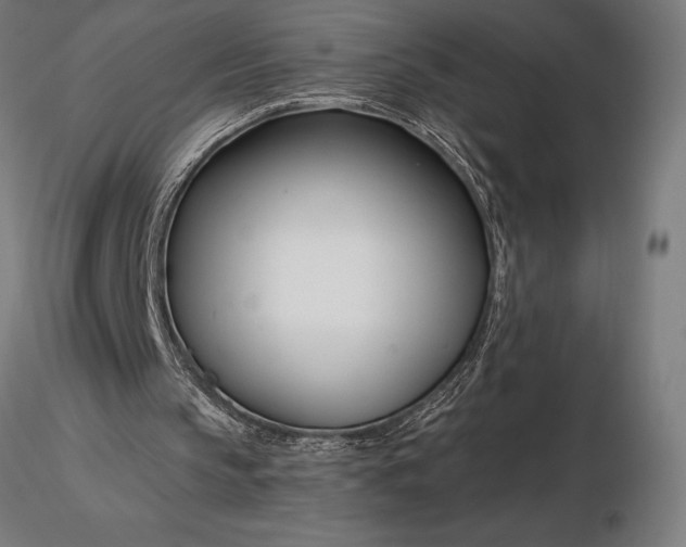 X0000116160145200912141228