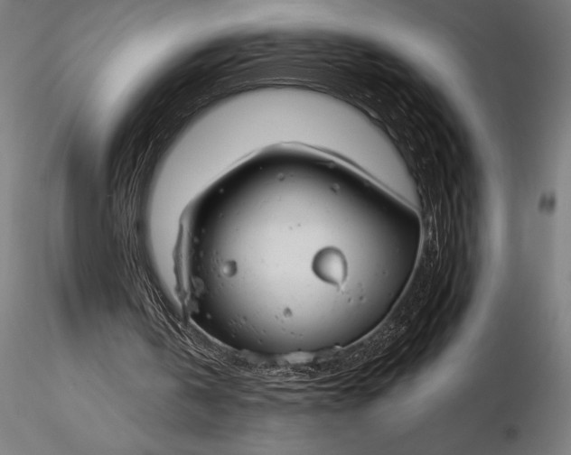 X0000116160146200912141228