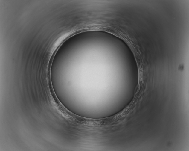 X0000116160147200912141228