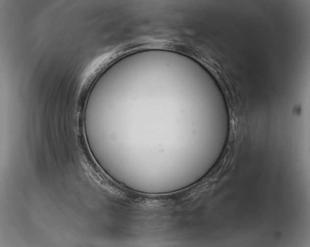 X0000116160149200912141228