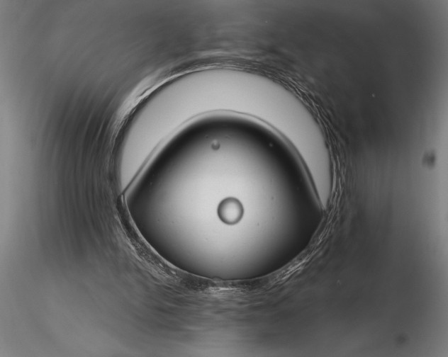 X0000116160150200912141228