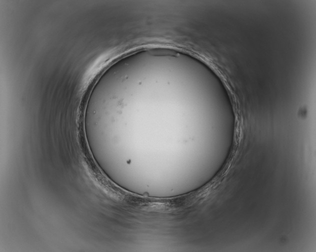 X0000116160151200912141228