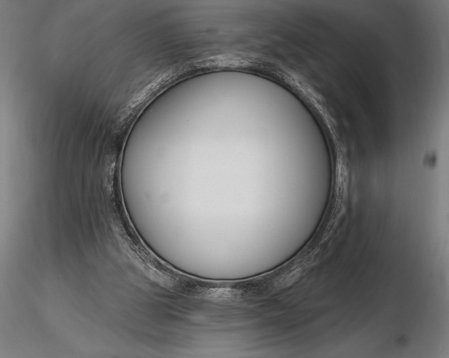 X0000116160153200912141229
