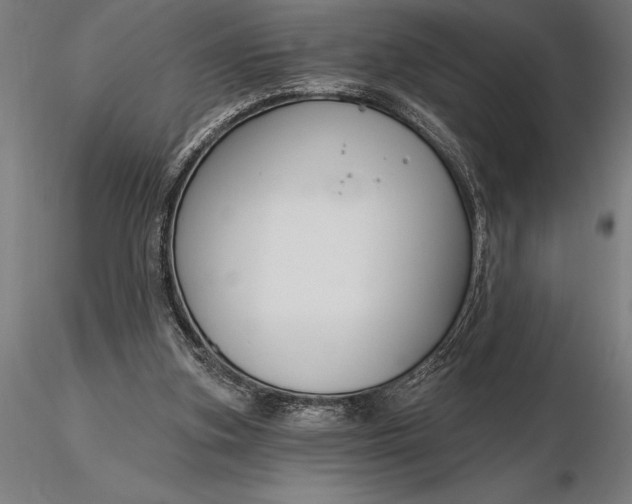 X0000116160155200912141229