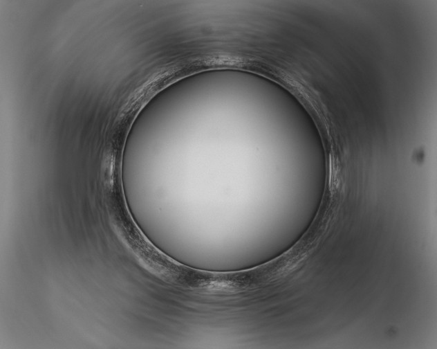 X0000116160157200912141229