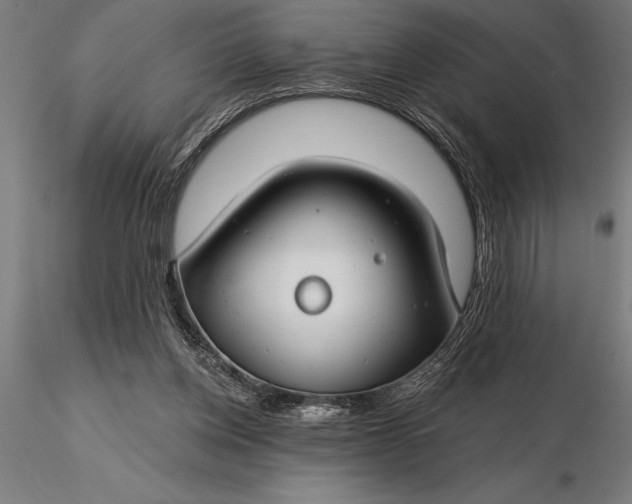 X0000116160158200912141229