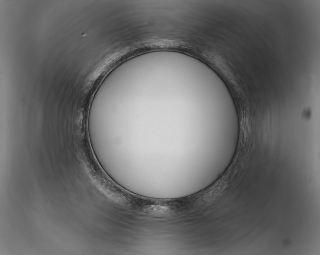 X0000116160159200912141229