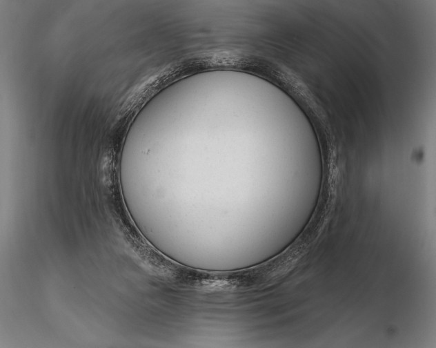 X0000116160161200912141229