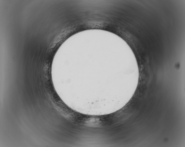X0000116160162200912141229