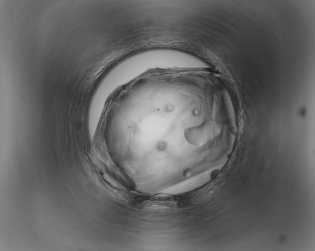 X0000116160163200912141229