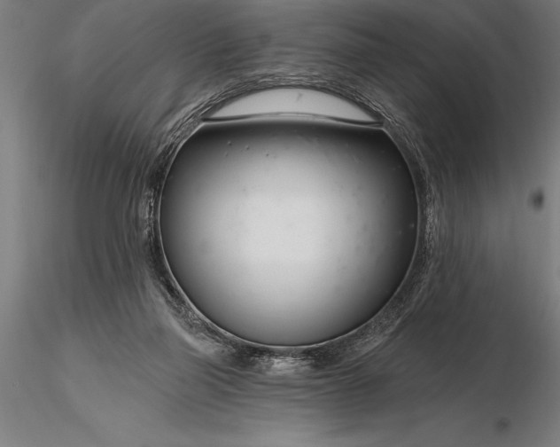 X0000116160165200912141229