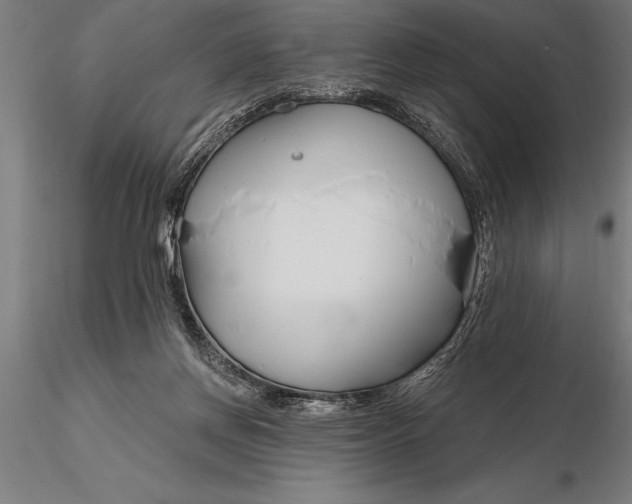 X0000116160166200912141229