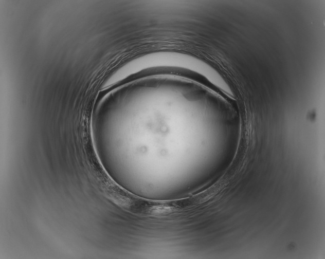 X0000116160169200912141229