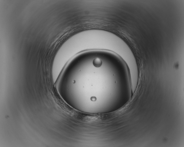 X0000116160170200912141229