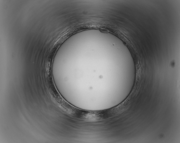 X0000116160171200912141229