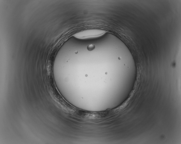 X0000116160174200912141229