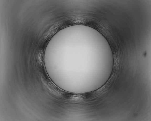 X0000116160175200912141229