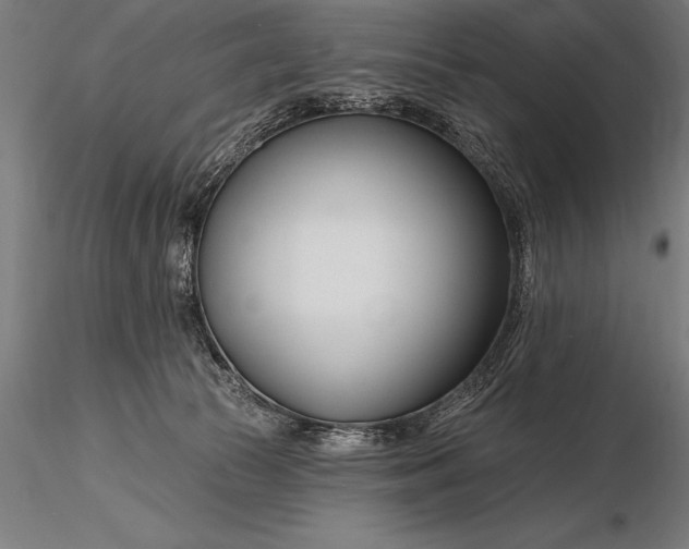 X0000116160177200912141229