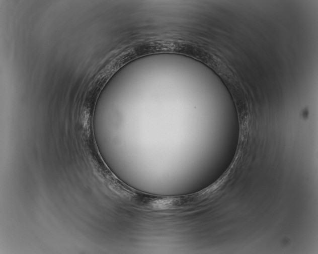 X0000116160178200912141229