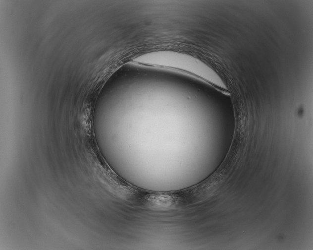 X0000116160181200912141229