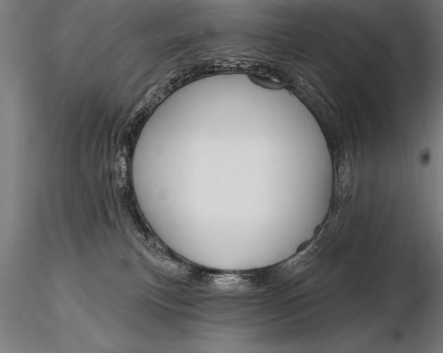 X0000116160183200912141229