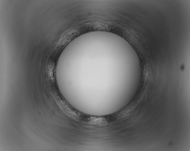 X0000116160185200912141229