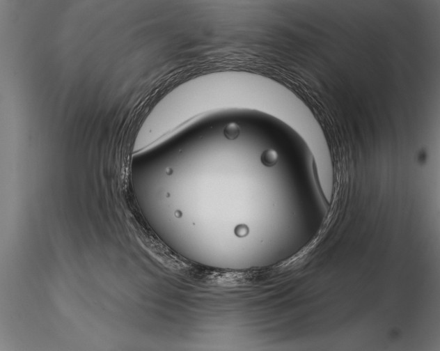 X0000116160186200912141229