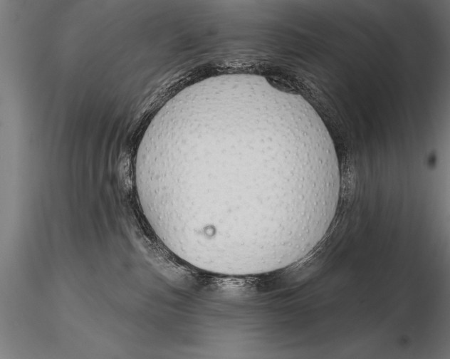 X0000116160187200912141229