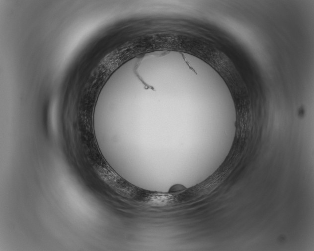 X0000116160189200912141229