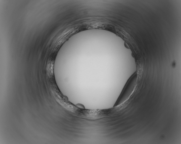 X0000116160191200912141229