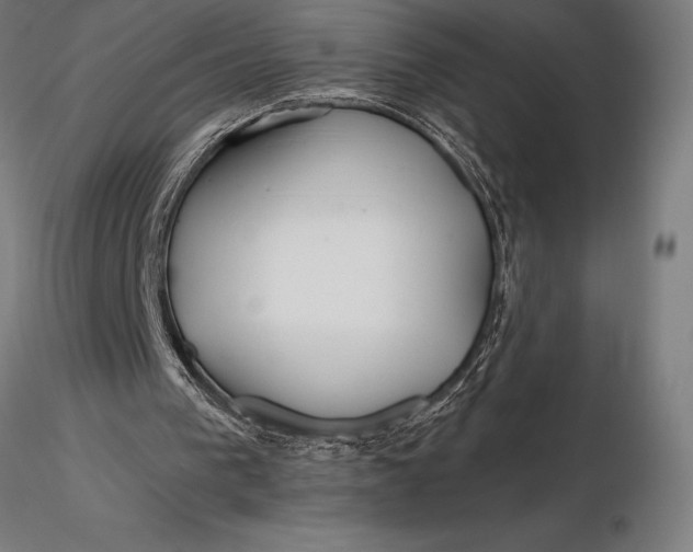 X0000116160193200912141228
