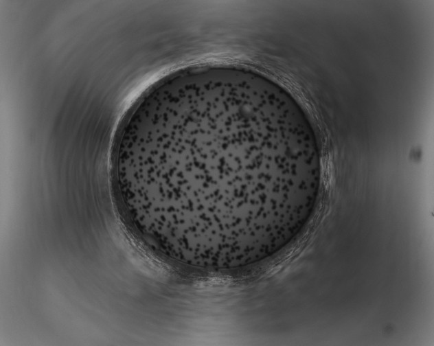 X0000116160196200912141228
